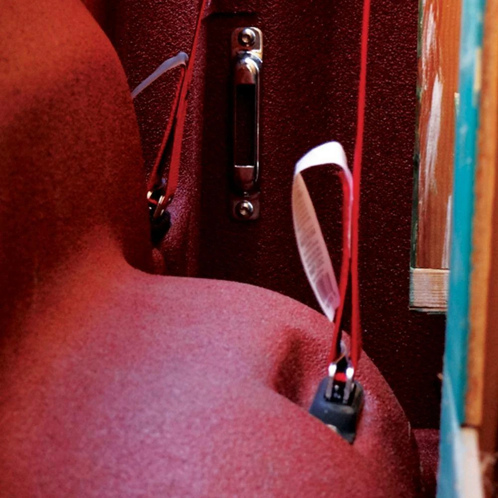 SNAP-LOC 8 ft. x 2 in. Logistic E-Strap with Ratchet in Red - Image 14